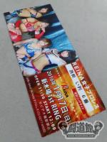 REINA女子プロレス 2016年1月17日(日)・新木場1stRING大会
