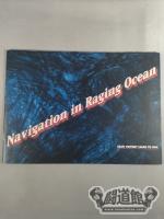 Navigation in Raging Ocean