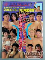 (武)2000スーパーパワー・シリーズ　ワンナイト・トーナメント　第42代世界タッグ王座決定
