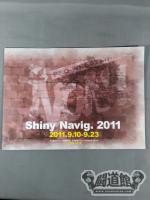 Shiny Navig. 2011