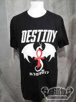 ROH「3/10/2017 DESTINT」Tシャツ
