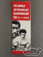 【WBC世界Jフェザー級タイトルマッチ】リゴベルト・リアスコvsロイヤル小林