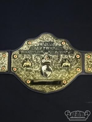 WCW世界ヘビー級王座チャンピオンベルト(BIG GOLD)｜格闘技プロレス
