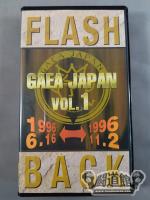 フラッシュバック オブ ガイアジャパン Vol.1 1996.6.16～1996.11.2